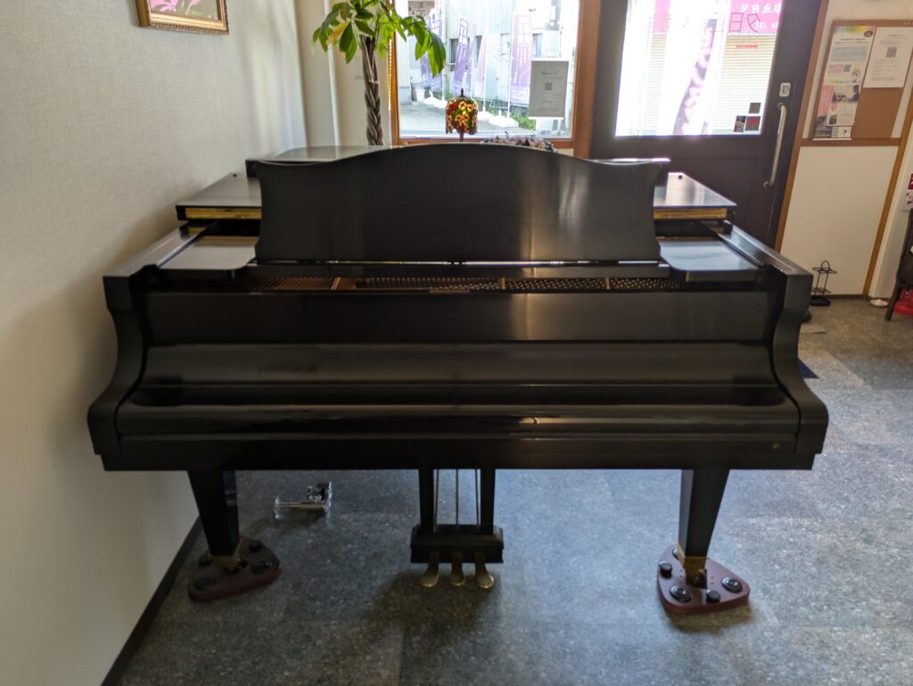 DIAPASON-210E　正面から